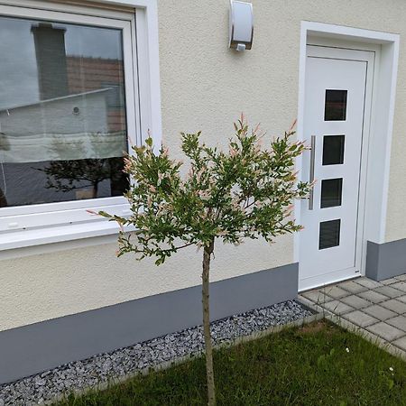Ferienhaus Zum Kuckuck, Wng 2, Urlaub Im Eichsfeld Kallmerode Esterno foto