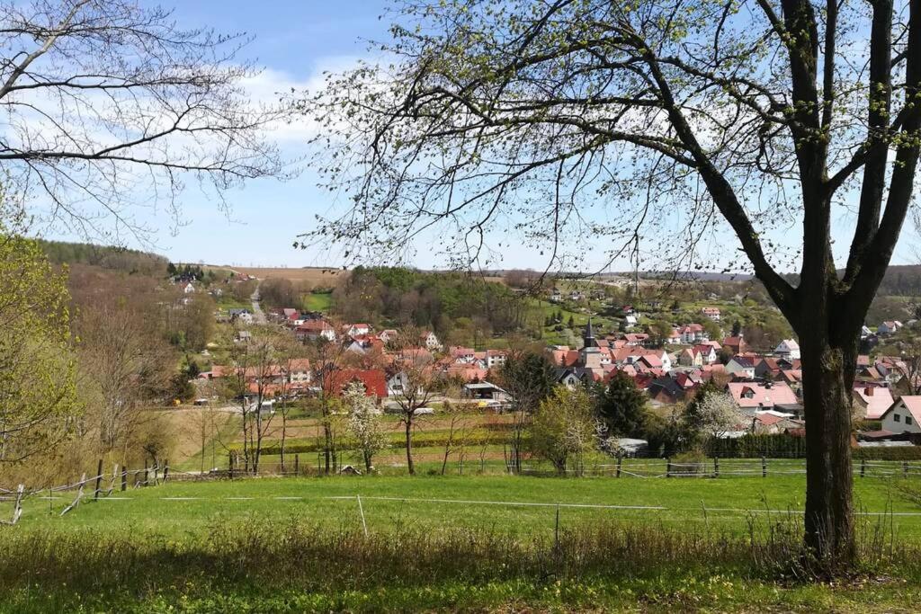 Ferienhaus Zum Kuckuck, Wng 2, Urlaub Im Eichsfeld Kallmerode Esterno foto