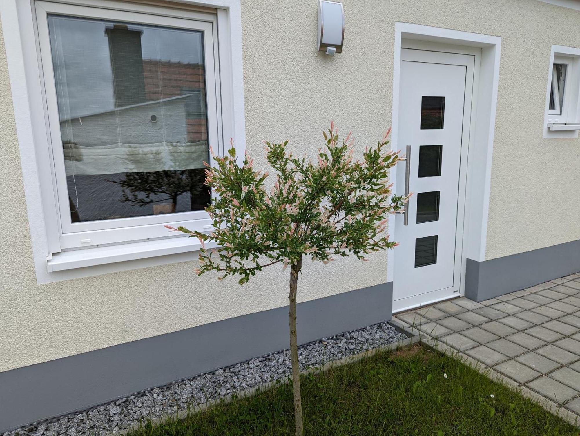 Ferienhaus Zum Kuckuck, Wng 2, Urlaub Im Eichsfeld Kallmerode Esterno foto