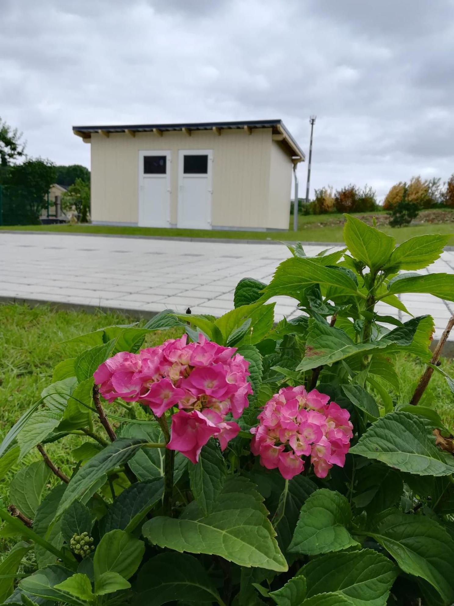 Ferienhaus Zum Kuckuck, Wng 2, Urlaub Im Eichsfeld Kallmerode Esterno foto
